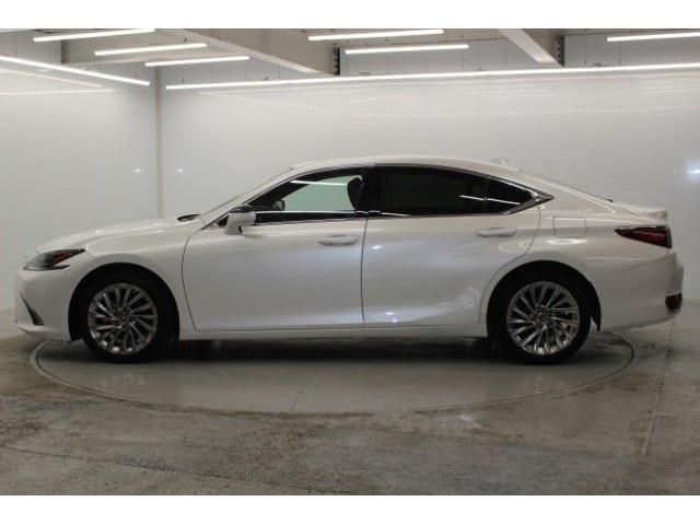 LEXUS ES300h