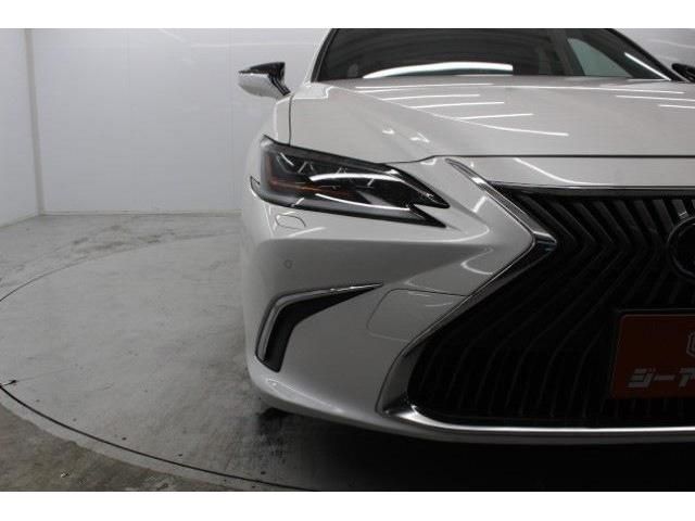 LEXUS ES300h