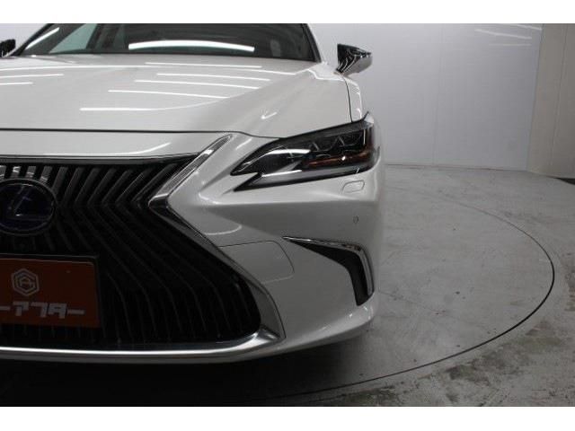 LEXUS ES300h