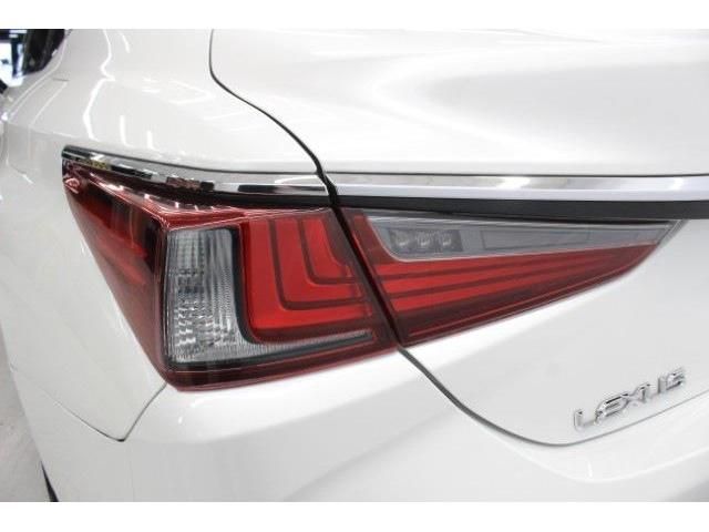 LEXUS ES300h