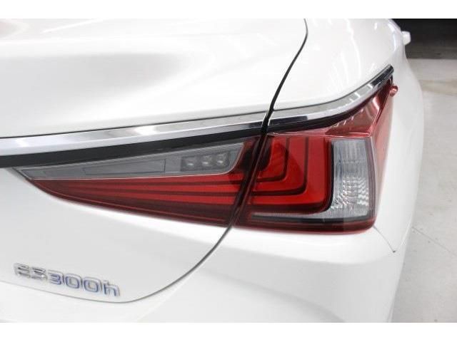 LEXUS ES300h