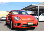 VOLKSWAGEN The BEETLE