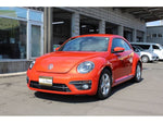 VOLKSWAGEN The BEETLE
