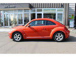 VOLKSWAGEN The BEETLE