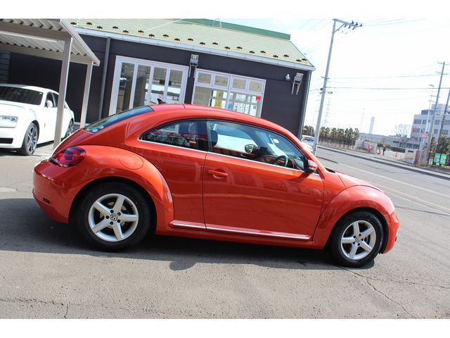 VOLKSWAGEN The BEETLE