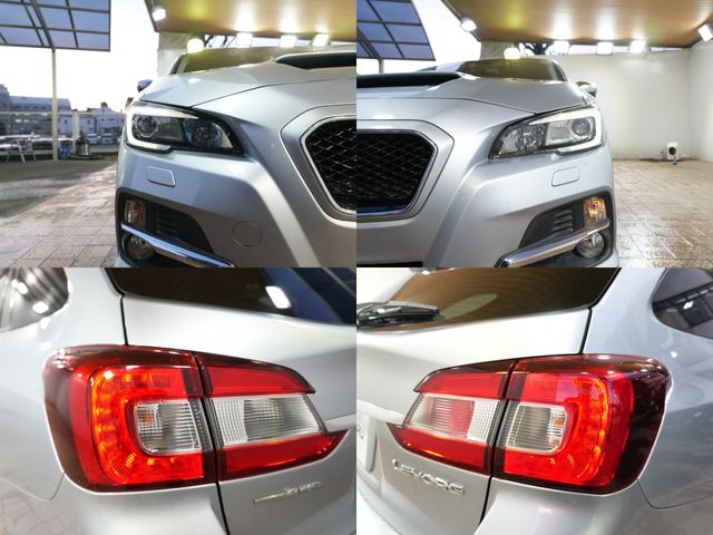LEVORG