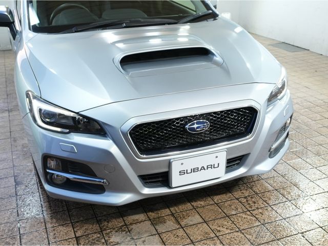 LEVORG