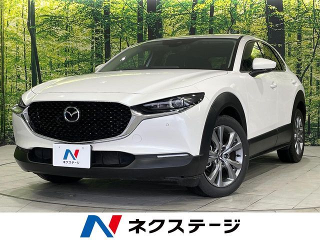 CX-30