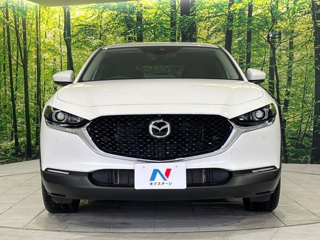 CX-30