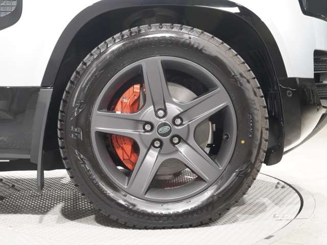 ROVER DEFENDER