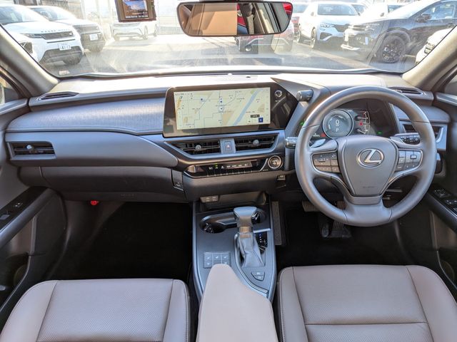 LEXUS UX250h