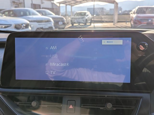 LEXUS UX250h