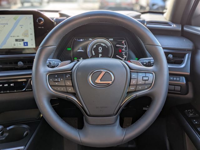 LEXUS UX250h