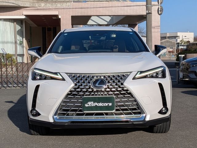 LEXUS UX250h