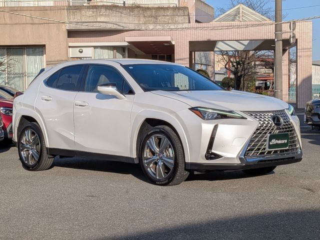 LEXUS UX250h