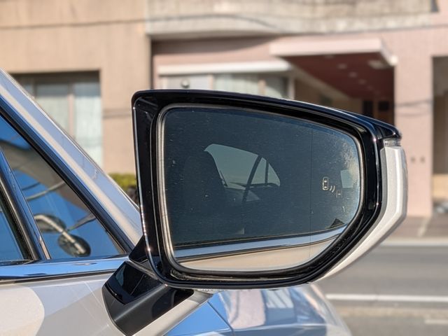 LEXUS UX250h