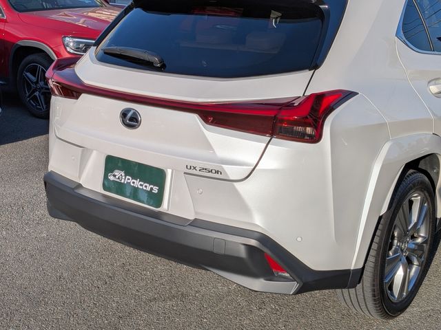 LEXUS UX250h