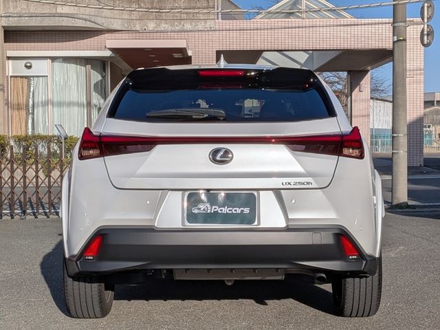 LEXUS UX250h