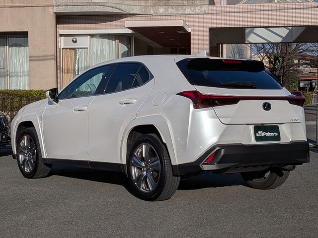 LEXUS UX250h