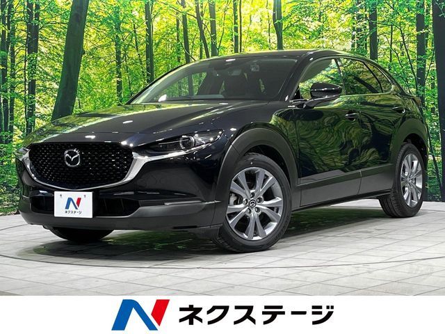 CX-30