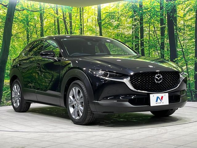 CX-30