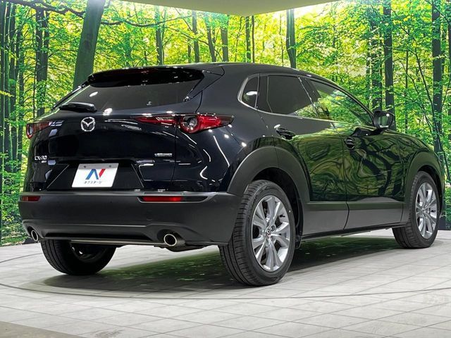 CX-30