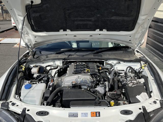 ROADSTER RF