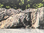 CX-60