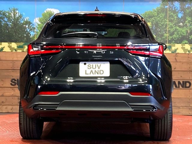 LEXUS NX350h