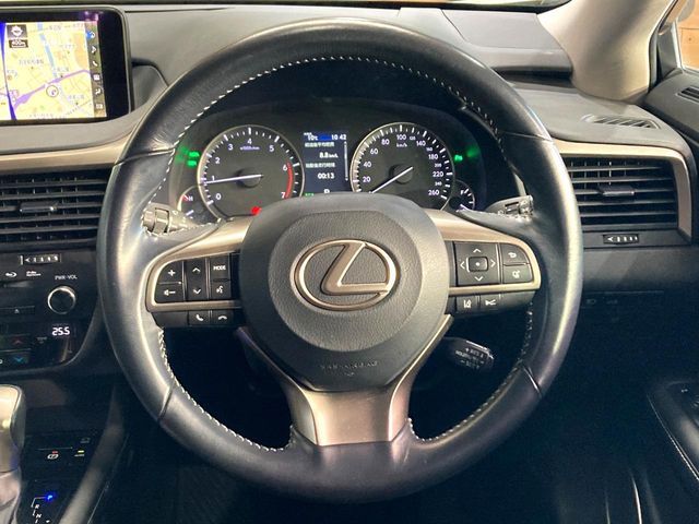 LEXUS RX300