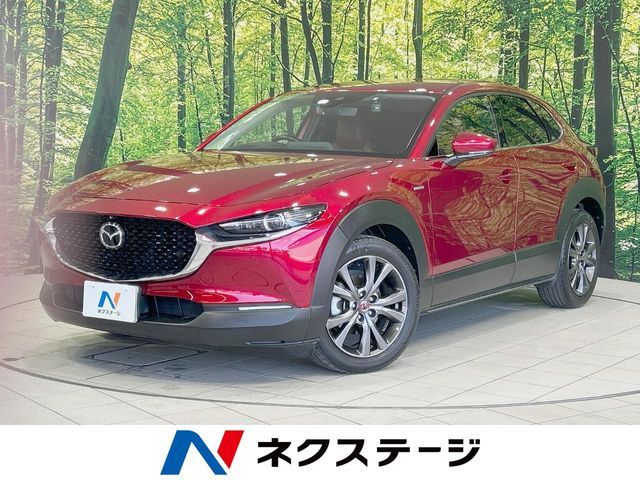 CX-30