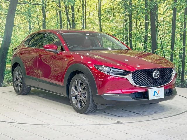 CX-30