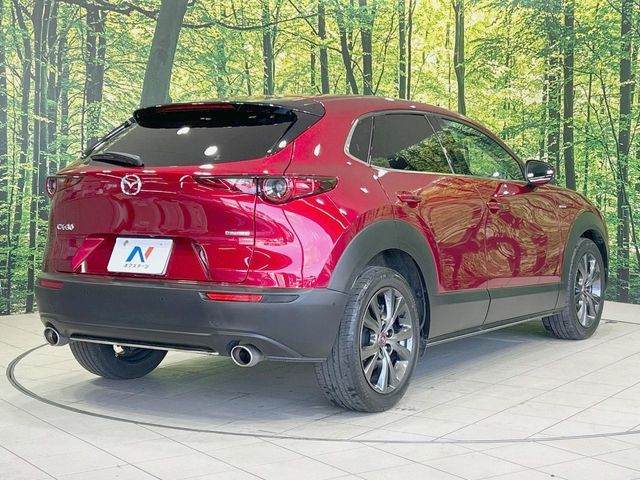 CX-30