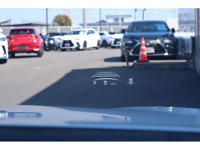 LEXUS NX350h AWD