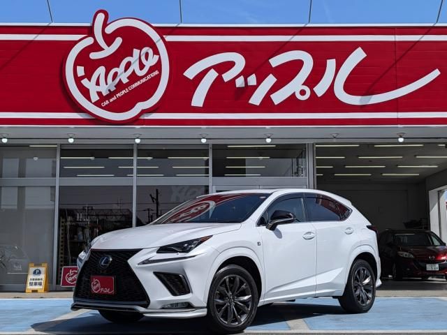 LEXUS NX300 AWD