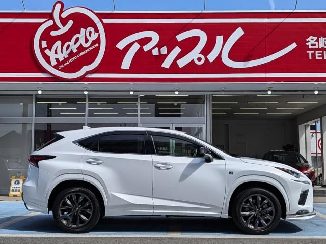 LEXUS NX300 AWD