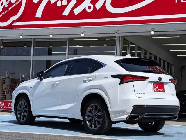 LEXUS NX300 AWD