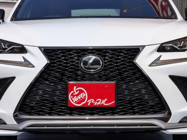 LEXUS NX300 AWD