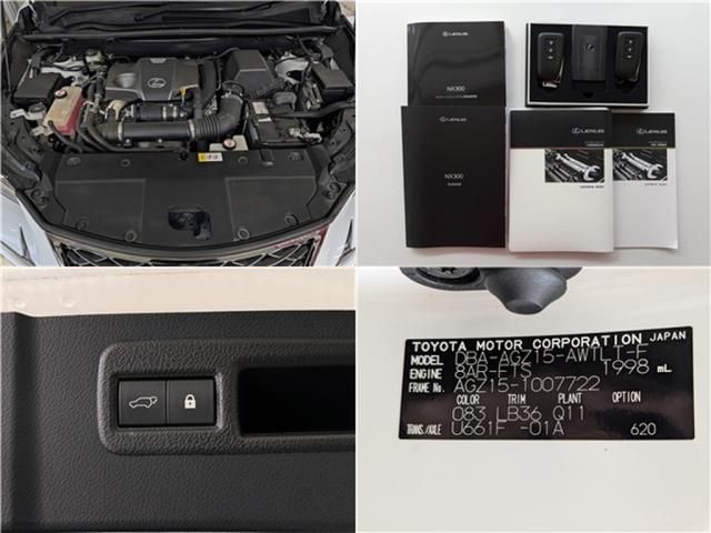 LEXUS NX300 AWD
