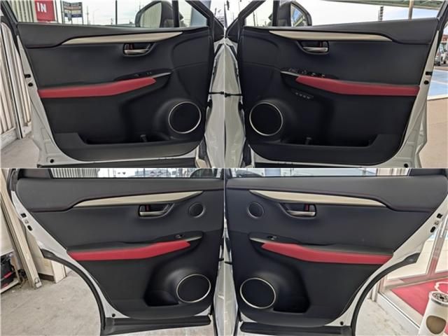 LEXUS NX300 AWD