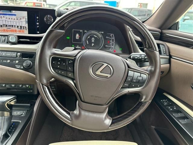 LEXUS ES300h
