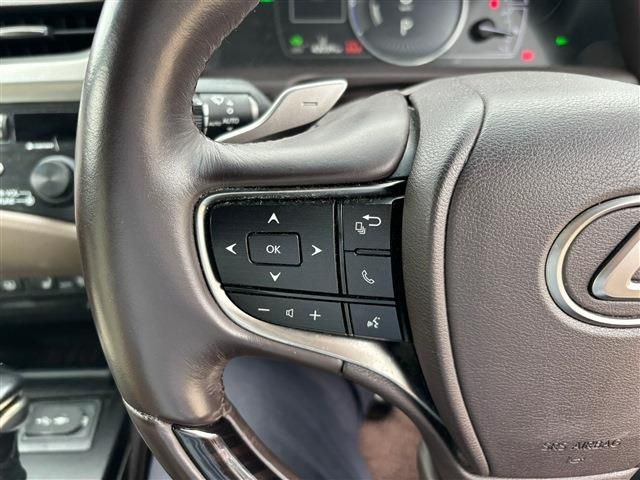 LEXUS ES300h