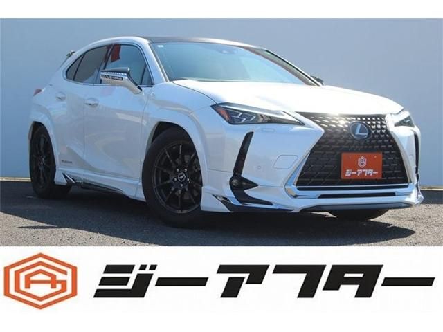 LEXUS UX300e