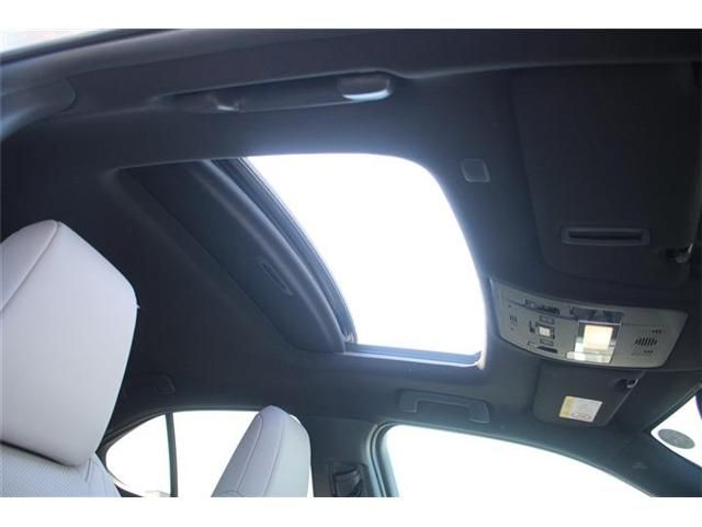 LEXUS UX300e