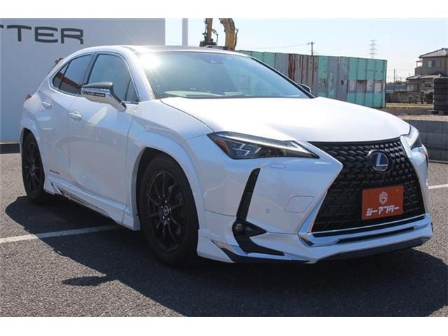 LEXUS UX300e