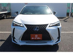 LEXUS UX300e