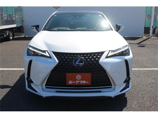 LEXUS UX300e