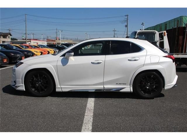 LEXUS UX300e