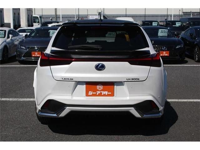 LEXUS UX300e