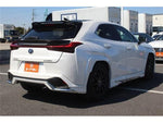 LEXUS UX300e